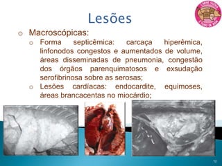 Etiologia35 sorotipos