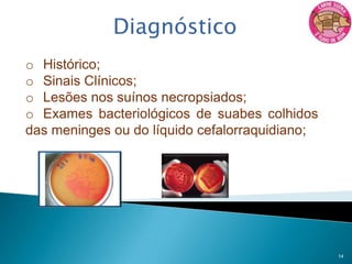 2 o mais frequente e o mais virulento.