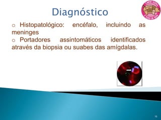Mais frequentes no Brasil foram 2, 1, 3, 7 e 84