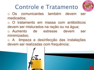 Poeira menos de 24 h;Sobrevive em tecidos ou fluidos de suínos por 10 dias a 4ºC;