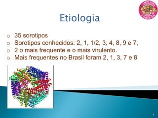 Leitões na fase de maternidade, creche, crescimento-terminação;