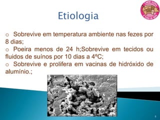 Sinais nervosos, febre e, às vezes, morte súbita