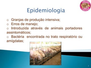 EtiologiaOrdem:Lactobacillales