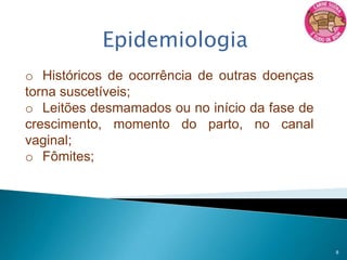 Família:Streptococcaceae