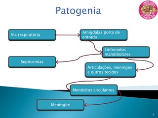 Género: Streptococcus