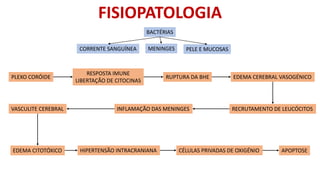 FISIOPATOLOGIA
BACTÉRIAS
CORRENTE SANGUÍNEA MENINGES PELE E MUCOSAS
PLEXO CORÓIDE RUPTURA DA BHE
RESPOSTA IMUNE
LIBERTAÇÃO DE CITOCINAS
EDEMA CEREBRAL VASOGÉNICO
RECRUTAMENTO DE LEUCÓCITOSINFLAMAÇÃO DAS MENINGESVASCULITE CEREBRAL
EDEMA CITOTÓXICO HIPERTENSÃO INTRACRANIANA CÉLULAS PRIVADAS DE OXIGÉNIO APOPTOSE
 