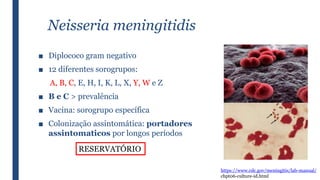 Neisseria meningitidis
■ Diplococo gram negativo
■ 12 diferentes sorogrupos:
A, B, C, E, H, I, K, L, X, Y, W e Z
■ B e C > prevalência
■ Vacina: sorogrupo específica
■ Colonização assintomática: portadores
assintomaticos por longos períodos
RESERVATÓRIO
https://www.cdc.gov/meningitis/lab-manual/
chpt06-culture-id.html
 
