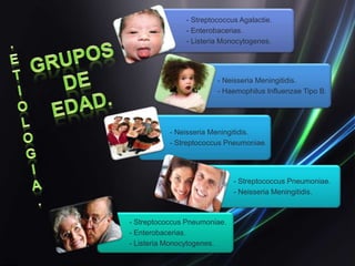- Streptococcus Agalactie.
               - Enterobacerias.
               - Listeria Monocytogenes.




                        - Neisseria Meningitidis.
                        - Haemophilus Influenzae Tipo B.




           - Neisseria Meningitidis.
           - Streptococcus Pneumoniae.




                              - Streptococcus Pneumoniae.
                              - Neisseria Meningitidis.



- Streptococcus Pneumoniae.
- Enterobacerias.
- Listeria Monocytogenes.
 