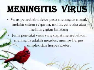 Meningitis virus
• Virus penyebab infeksi pada meningitis masuk
  melalui sistem respirasi, mulut, genetalia atau
              melalui gigitan binatang
• Jenis penyakit virus yang dapat menyebabkan
    meningitis adalah measles, mumps herpes
           simplex dan herpes zoster.
 