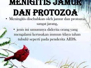 Menigitis jamur
   dan protozoa
• Meningitis disebabkan oleh jamur dan protozoa
                   sangat jarang,
   • jenis ini umumnya diderita orang yang
    mengalami kerusakan immun (daya tahan
      tubuh) seperti pada penderita AIDS.
 