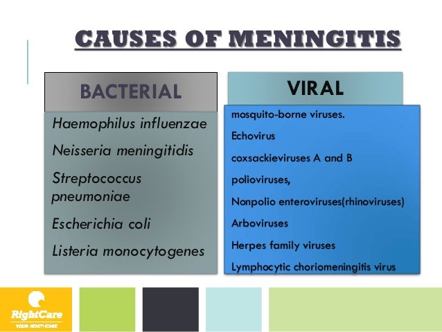 Meningitis
