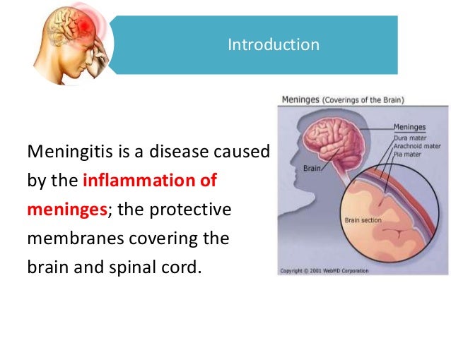 Meningitis