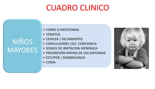 CUADRO CLINICO
• FIEBRE O HIPOTERMIA
• VÓMITOS
• CEFALEA / DECAIMIENTO
• CONVULSIONES /ALT. CONCIENCIA
• SIGNOS DE IRRITACION MENINGEA
• PROGRESIÓN RAPIDA DE LOS SINTOMAS
• ESTUPOR / SOMNOLENCIA
• COMA
NIÑOS
MAYORES
 