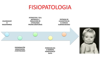 FISIOPATOLOGIA
COLONIZACIÓ
N
NASOFARINGE
DISEMINACIÓN
HEMATOGENA
/CONTINUIDAD
ASTROCITOS / CELL
MICROGLIA /
PROUCCION DE
CITOQUINAS
PROINFLAMATORIAS
PERMEABILIDA
D BARRERA
HEMATOENCEF
ÁLICA
ENTRADA DE
LEUCOCITOS EN
EL ESPACIO
SUBARACNOIDEO
 