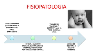 FISIOPATOLOGIA
EDEMA CEREBRAL
/ AUMENTO PIC /
DISMINUCIÓN
FLUJO
SANGUINEO
HIPOXIA / AUMENTO
METABOLISMO ANAEROBIO
LACTATO / DISMINUCIÓN
POR CONSUMO DE GLUCOSA
TROMBOSIS
VASCULAR /
DISMINUYE MÁS EL
FLUJO CEREBRAL
LOCAL
ZONAS DE
ISQUEMIA E
INFARTO
CEREBRAL
 