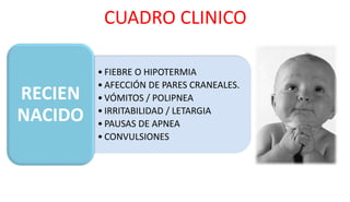 CUADRO CLINICO
• FIEBRE O HIPOTERMIA
• AFECCIÓN DE PARES CRANEALES.
• VÓMITOS / POLIPNEA
• IRRITABILIDAD / LETARGIA
• PAUSAS DE APNEA
• CONVULSIONES
RECIEN
NACIDO
 