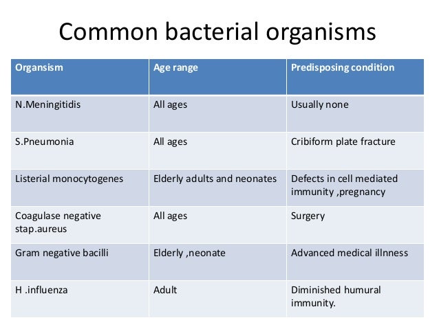 Meningitis