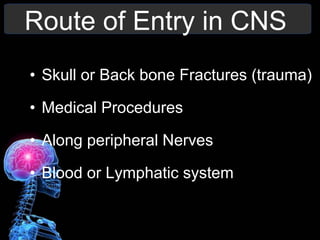 Route of Entry in CNS
• Skull or Back bone Fractures (trauma)
• Medical Procedures
• Along peripheral Nerves
• Blood or Lymphatic system
 