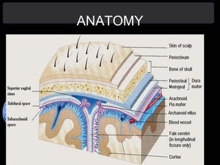 ANATOMY
 