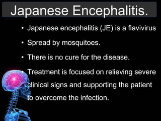 Japanese Encephalitis.
• Japanese encephalitis (JE) is a flavivirus
• Spread by mosquitoes.
• There is no cure for the disease.
• Treatment is focused on relieving severe
clinical signs and supporting the patient
to overcome the infection.
 