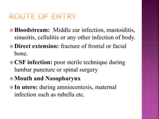  Bloodstream: Middle ear infection, mastoiditis,
sinusitis, cellulitis or any other infection of body.
 Direct extension: fracture of frontal or facial
bone.
 CSF infection: poor sterile technique during
lumbar puncture or spinal surgery
 Mouth and Nasopharynx
 In utero: during amniocentesis, maternal
infection such as rubella etc.
 