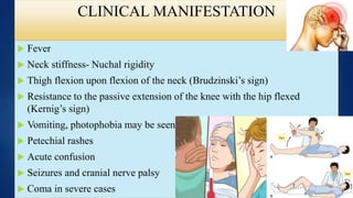 CLINICAL MANIFESTATION
 Fever
 Neck stiffness- Nuchal rigidity
 Thigh flexion upon flexion of the neck (Brudzinski’s sign)
 Resistance to the passive extension of the knee with the hip flexed
(Kernig’s sign)
 Vomiting, photophobia may be seen
 Petechial rashes
 Acute confusion
 Seizures and cranial nerve palsy
 Coma in severe cases
 