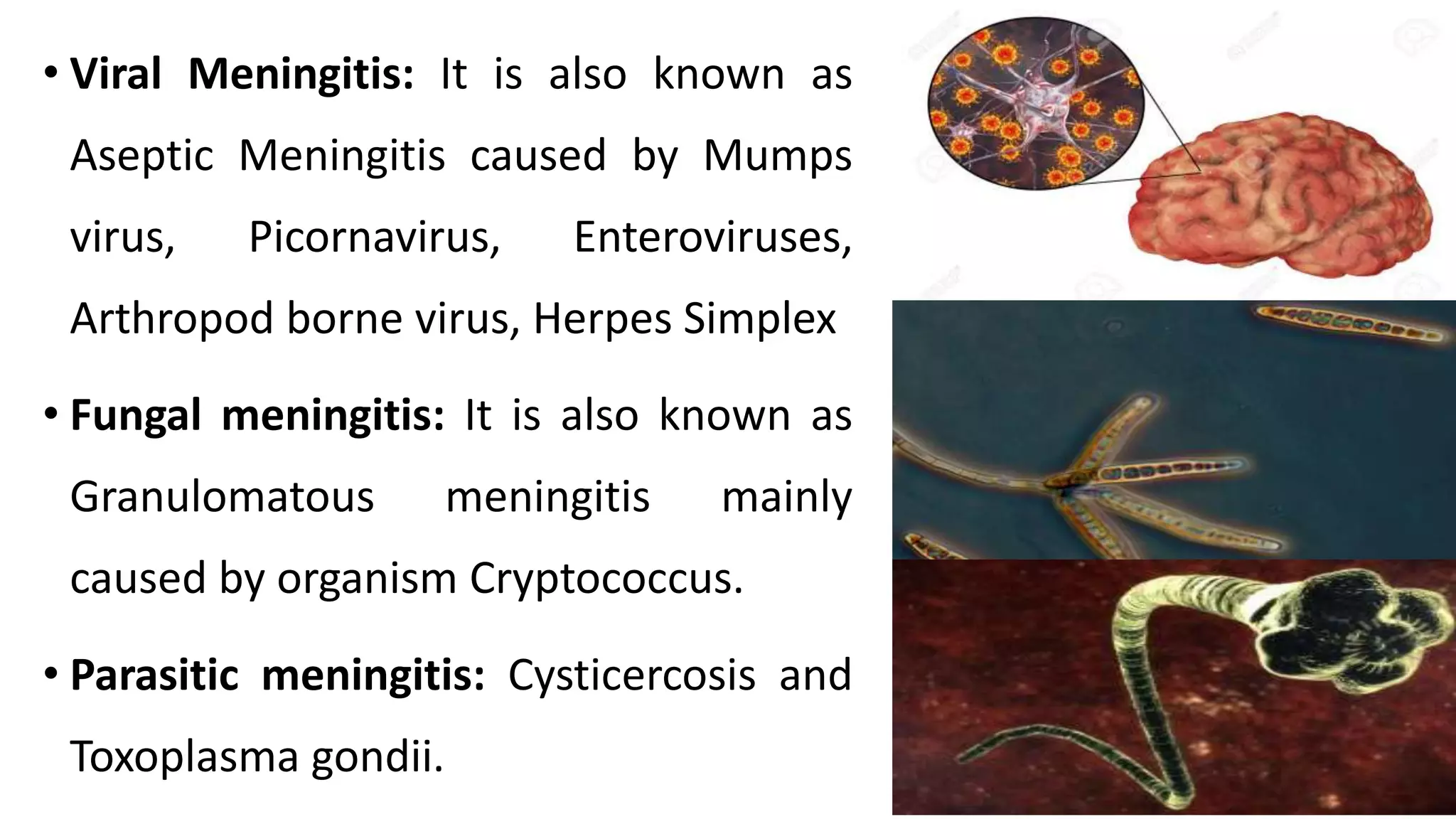 • Viral Meningitis: It is also known as
Aseptic Meningitis caused by Mumps
virus, Picornavirus, Enteroviruses,
Arthropod borne virus, Herpes Simplex
• Fungal meningitis: It is also known as
Granulomatous meningitis mainly
caused by organism Cryptococcus.
• Parasitic meningitis: Cysticercosis and
Toxoplasma gondii.
 