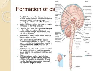 Midbrain Csf Meningitis | PPTX