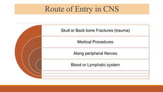 Route of Entry in CNS
Skull or Back bone Fractures (trauma)
Medical Procedures
Along peripheral Nerves
Blood or Lymphatic system
 