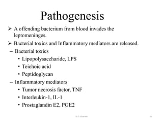 Meningitis | PPTX