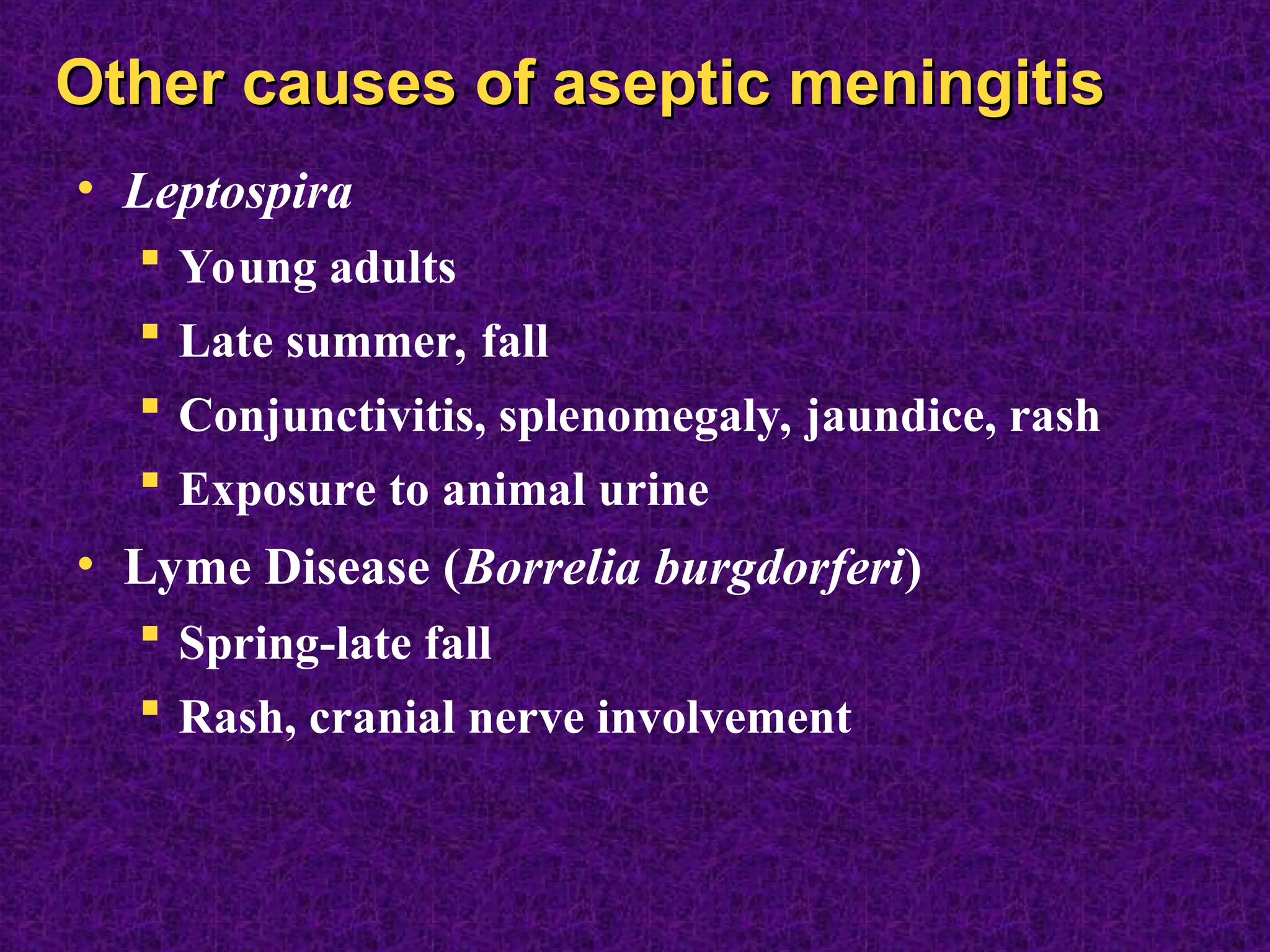 Meningitis.ppt contains information on meningitis | PPT