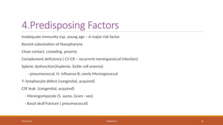 09/03/2024 MENINGITIS 12
4.Predisposing Factors
Inadequate immunity esp. young age – A major risk factor
Recent colonization of Nasopharynx
Close contact, crowding, poverty
Complement deficiency ( C5-C8 – recurrent meningococcal infection)
Splenic dysfunction(Asplenia, Sickle cell anemia)
- pneumococcal, H. influenza B, rarely Meningococcal
T- lymphocyte defect (congenital, acquired)
CSF leak (congenital, acquired)
- Meningomyocele (S. aures, Gram –ves)
- Basal skull fracture ( pneumococcal)
 