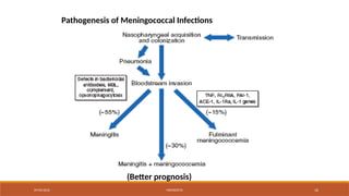 09/03/2024 MENINGITIS 16
Pathogenesis of Meningococcal Infections
(Better prognosis)
 