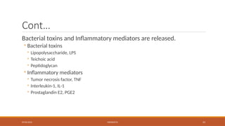 09/03/2024 MENINGITIS 23
Cont…
Bacterial toxins and Inflammatory mediators are released.
◦ Bacterial toxins
◦ Lipopolysaccharide, LPS
◦ Teichoic acid
◦ Peptidoglycan
◦ Inflammatory mediators
◦ Tumor necrosis factor, TNF
◦ Interleukin-1, IL-1
◦ Prostaglandin E2, PGE2
 