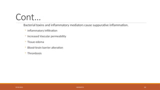 09/03/2024 MENINGITIS 24
Cont…
Bacterial toxins and inflammatory mediators cause suppurative inflammation.
◦ Inflammatory infiltration
◦ Increased Vascular permeability
◦ Tissue edema
◦ Blood-brain barrier alteration
◦ Thrombosis
 
