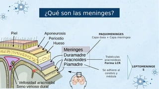 MENINGITIS. caso clínico de meningitis pptx | PPTX