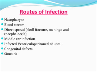 Routes of Infection
Nasopharynx
Blood stream
Direct spread (skull fracture, meningo and

encephalocele)
Middle ear infection
Infected Ventriculoperitoneal shunts.
Congenital defects
Sinusitis

 