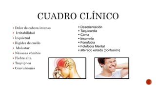  Dolor de cabeza intenso
 Irritabilidad
 Inquietud
 Rigidez de cuello
 Malestar
 Náuseas vómitos
 Fiebre alta
 Taquipnea
 Convulsiones
 Desorientación
 Taquicardia
 Coma
 Insomnio
 Fonofobia
 Fotofobia Mental
 alterado estado (confusión)
 