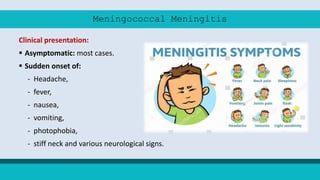 Meningococcal Meningitis
Clinical presentation:
 Asymptomatic: most cases.
 Sudden onset of:
- Headache,
- fever,
- nausea,
- vomiting,
- photophobia,
- stiff neck and various neurological signs.
 