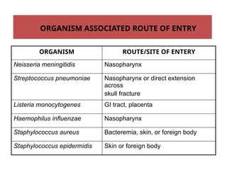 ORGANISM ROUTE/SITE OF ENTERY
Neisseria meningitidis Nasopharynx
Streptococcus pneumoniae Nasopharynx or direct extension
across
skull fracture
Listeria monocytogenes GI tract, placenta
Haemophilus influenzae Nasopharynx
Staphylococcus aureus Bacteremia, skin, or foreign body
Staphylococcus epidermidis Skin or foreign body
ORGANISM ASSOCIATED ROUTE OF ENTRY
 