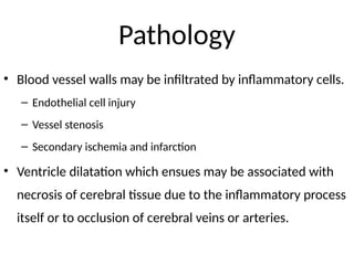 Pathology
• Blood vessel walls may be infiltrated by inflammatory cells.
– Endothelial cell injury
– Vessel stenosis
– Secondary ischemia and infarction
• Ventricle dilatation which ensues may be associated with
necrosis of cerebral tissue due to the inflammatory process
itself or to occlusion of cerebral veins or arteries.
 