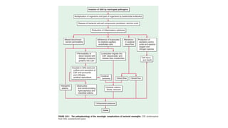 meningitis cns infection, infectious diseases of Central nervous system ...