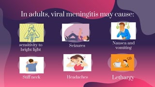 In adults, viral meningitis may cause:
sensitivity to
bright light
Seizures
Nausea and
vomiting
Stiff neck Headaches Lethargy
 