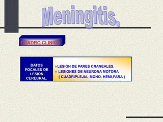 DATOS
FOCALES DE
LESION
CEREBRAL.
LESION DE PARES CRANEALES.
 LESIONES DE NEURONA MOTORA
( CUADRIPLEJIA, MONO, HEMI,PARA )
CUADRO CLINICO
 