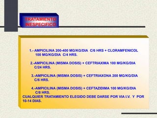 1.- AMPICILINA 200-400 MG/KG/DIA C/6 HRS + CLORAMFENICOL
100 MG/KG/DIA C/4 HRS.
2.-AMPICILINA (MISMA DOSIS) + CEFTRIAXIMA 100 MG/KG/DIA
C/24 HRS.
3.-AMPICILINA (MISMA DOSIS) + CEFTRIAXONA 200 MG/KG/DIA
C/6 HRS.
4.-AMPICILINA (MISMA DOSIS) + CEFTAZIDIMA 100 MG/KG/DIA
C/8 HRS.
CUALQUIER TRATAMIENTO ELEGIDO DEBE DARSE POR VIA I.V. Y POR
10-14 DIAS.
TRATAMIENTO
INESPECIFICO
 