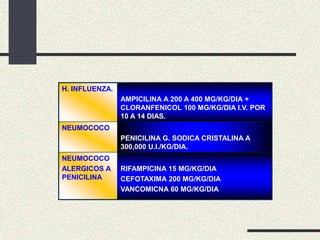 H. INFLUENZA.
AMPICILINA A 200 A 400 MG/KG/DIA +
CLORANFENICOL 100 MG/KG/DIA I.V. POR
10 A 14 DIAS.
NEUMOCOCO
PENICILINA G. SODICA CRISTALINA A
300,000 U.I./KG/DIA.
NEUMOCOCO
ALERGICOS A
PENICILINA
RIFAMPICINA 15 MG/KG/DIA
CEFOTAXIMA 200 MG/KG/DIA
VANCOMICNA 60 MG/KG/DIA
 