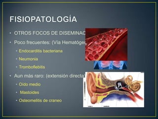 • OTROS FOCOS DE DISEMINACIÓN:

• Poco frecuentes: (Vía Hematógena)
• Endocarditis bacteriana
• Neumonia
• Tromboflebitis

• Aun más raro: (extensión directa)
• Oído medio
• Mastoides
• Osteomelitis de craneo

 