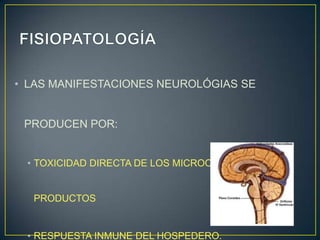 • LAS MANIFESTACIONES NEUROLÓGIAS SE

PRODUCEN POR:
• TOXICIDAD DIRECTA DE LOS MICROORG Y SUS

PRODUCTOS

• RESPUESTA INMUNE DEL HOSPEDERO.

 