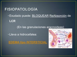 • Exudado puede: BLOQUEAR ReAbsorción de
LCR
(En las granulaciones aracnoideas)
• Lleva a hidrocefalea:
EDEMA tipo INTERSTICIAL

 