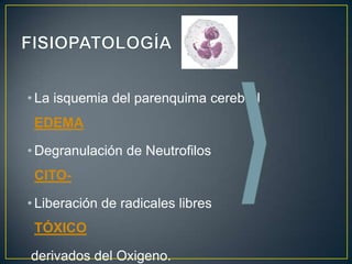 • La isquemia del parenquima cerebral
EDEMA

• Degranulación de Neutrofilos
CITO• Liberación de radicales libres
TÓXICO
derivados del Oxigeno.

 